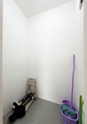 Lavender Residence (D12), Apartment #596529751